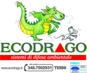 ecodrago logo 2 - Copia